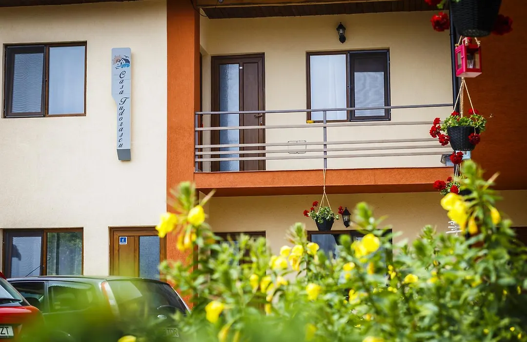 Pensiunea Casa Tudorascu-1